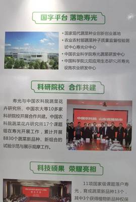 院士來了，國字號科研院所也來了——生態環境高水平保護推動經濟高質量發展看濰坊見聞